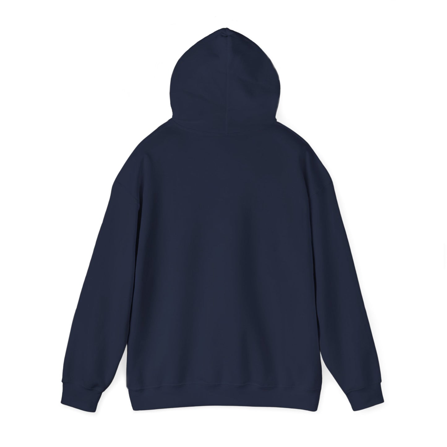 Houston TX Silver Graffiti Hoodie