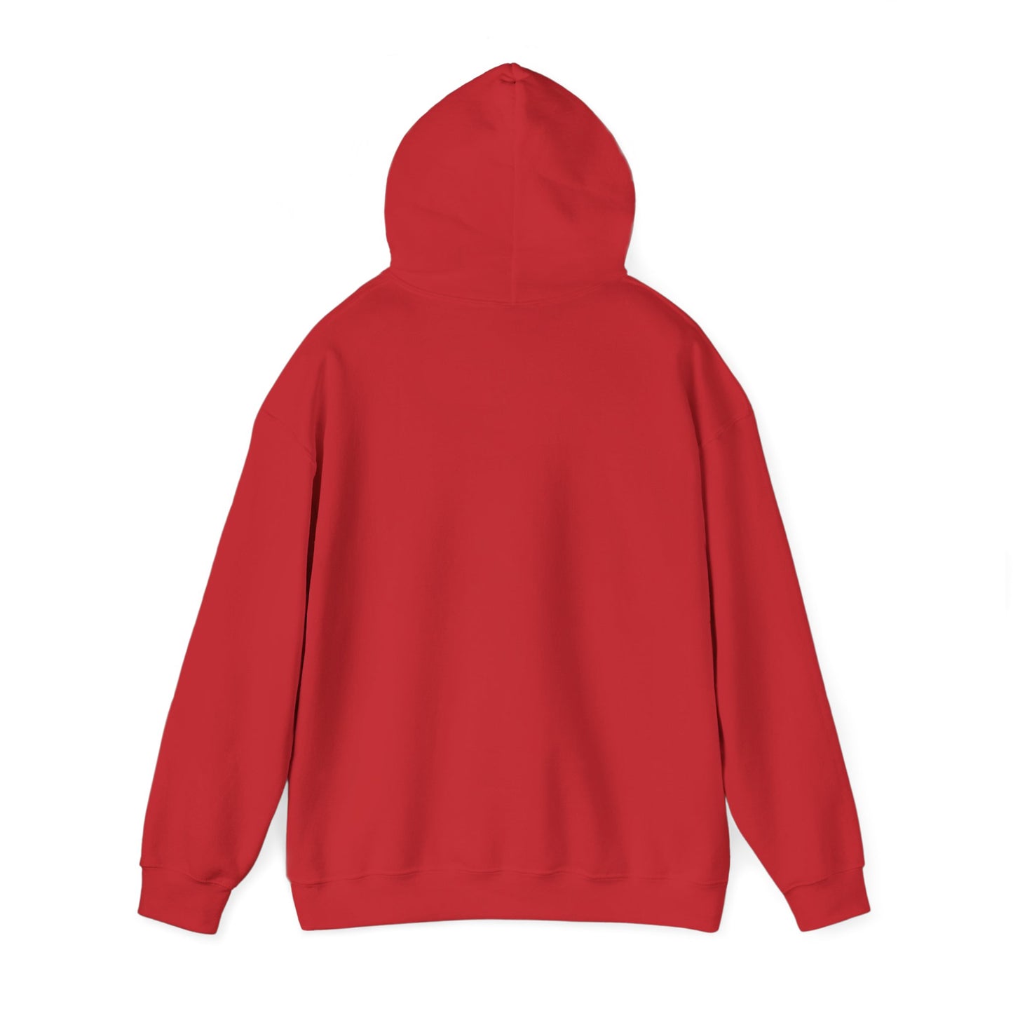 Houston TX Silver Graffiti Hoodie